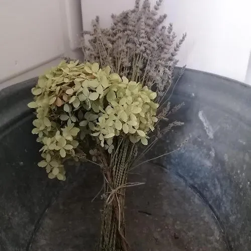 Bed & Breakfast Sotto Le Mura Bergamo